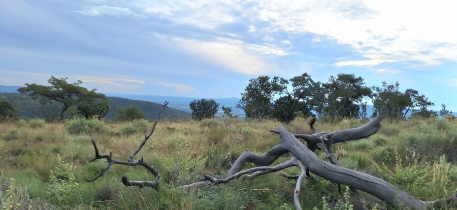 2 Bedroom Property for Sale in Koster North West